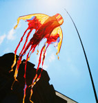 Flying kite
