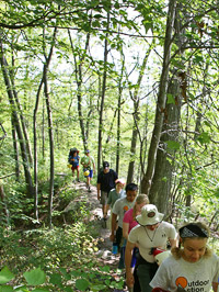forest trail