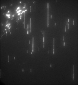 Bionanomatrix photo
