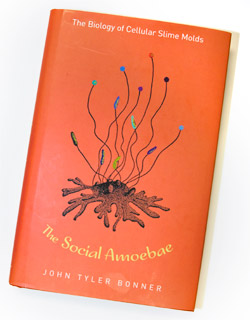book jacket