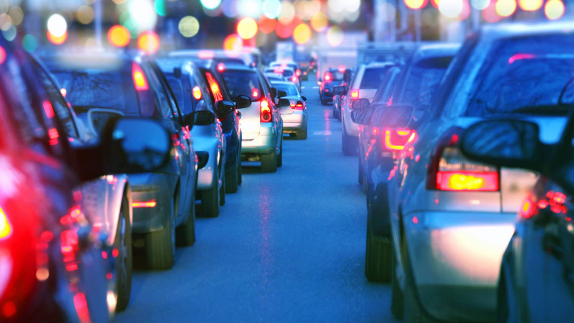 backs of cars in traffic
