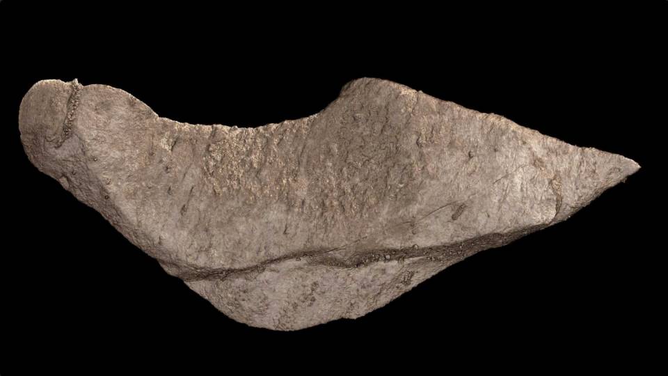 a tool-shaped rock from a cave at the Rising Star site