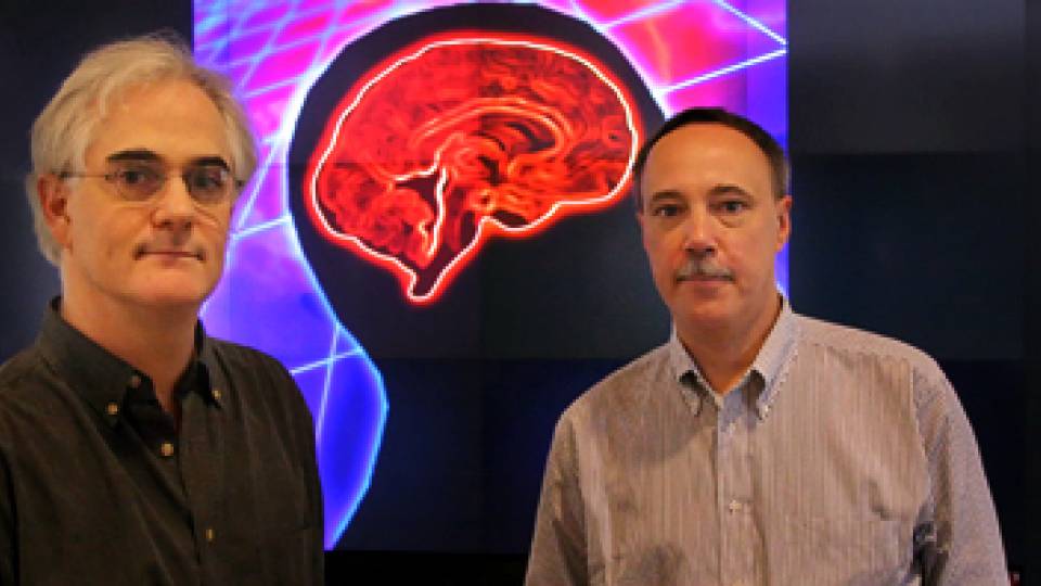 Neuroscience