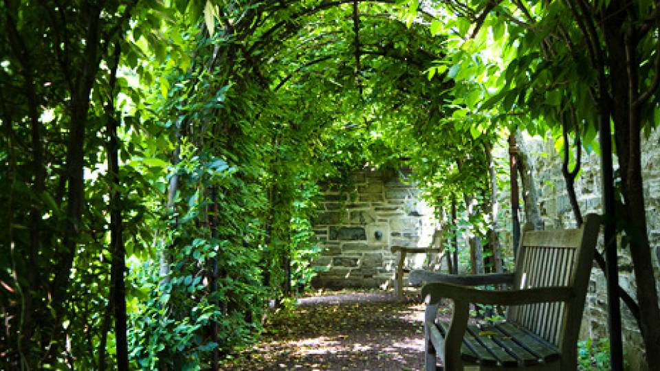 Wyman Garden