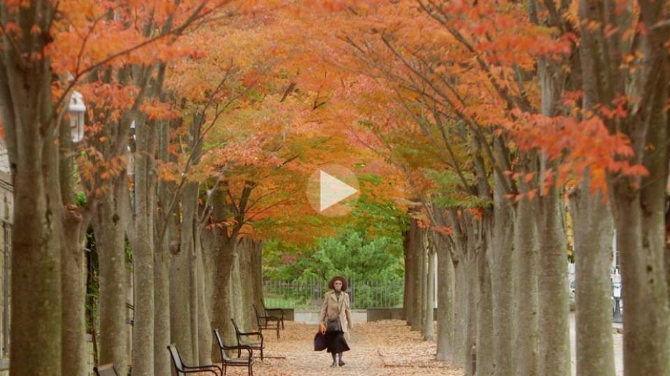 Fall Foliage