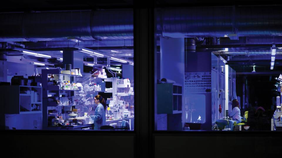 Late at night in Princeton's Frick Chemistry Laboratory, blue LED lights work overtime to catalyze new chemical reactions. 