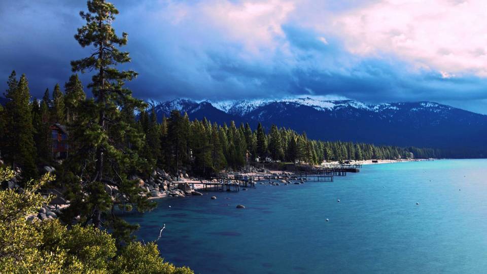 Ocean and forest