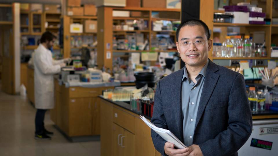 Yibin Kang in his lab