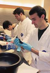 Weiss lab