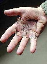 Electronic membrane
