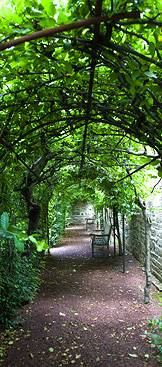 Wyman Garden