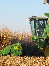 Harvesting