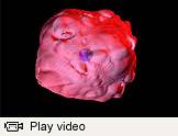 Burrows video thumbnail