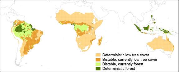 Biome map