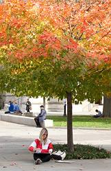 Fall colors index