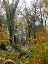 Sandy index