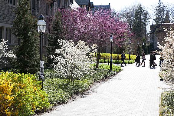 Princeton Preview