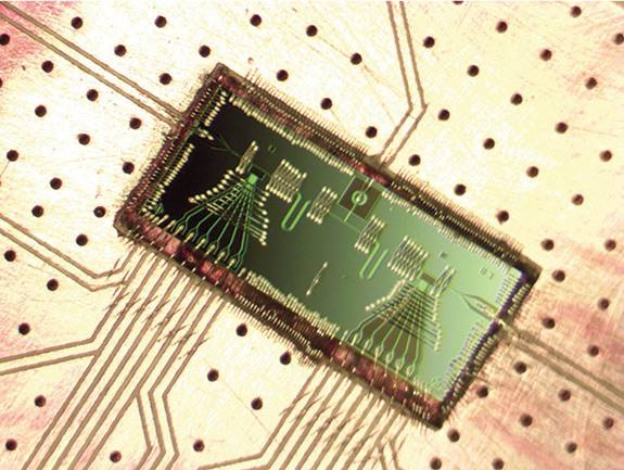 Petta rice laser_2