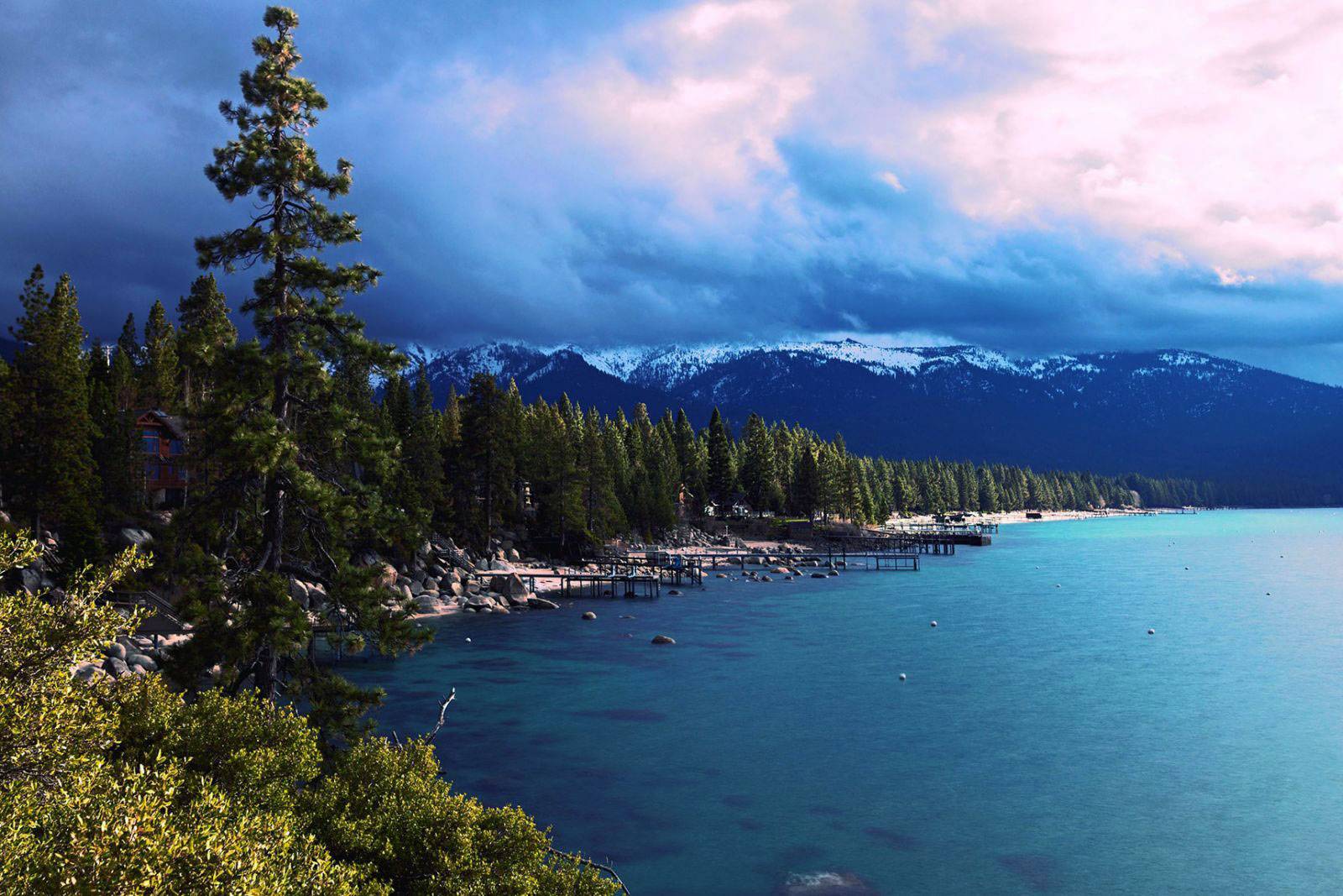 Ocean and forest