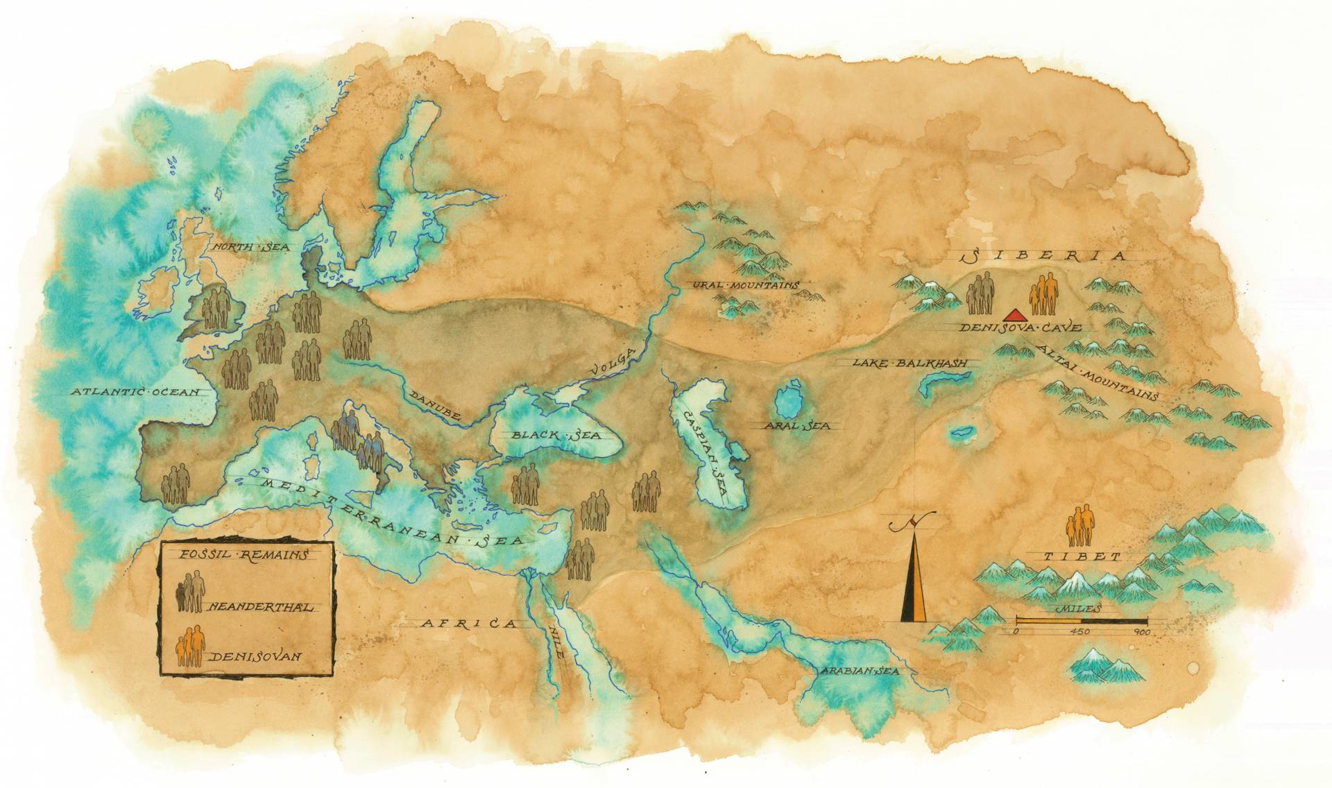 Map of places where DNA have been found