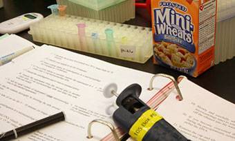 Teacher workstation