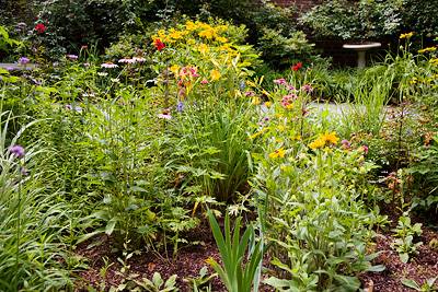 McCosh Garden