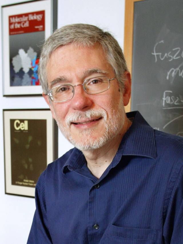 Mark Rose